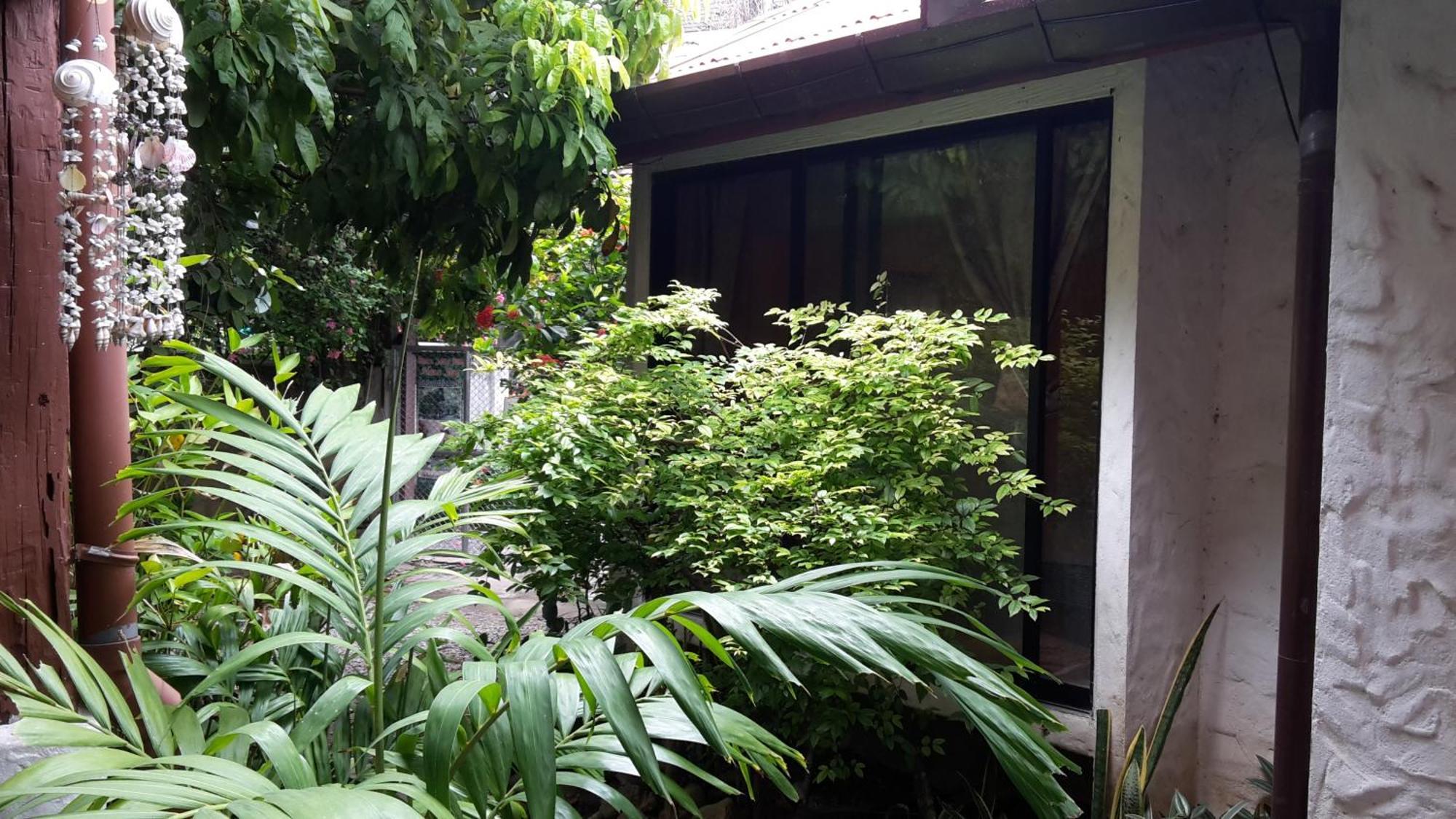 ホテル バーン ソンジュム チエンマイ 部屋 写真